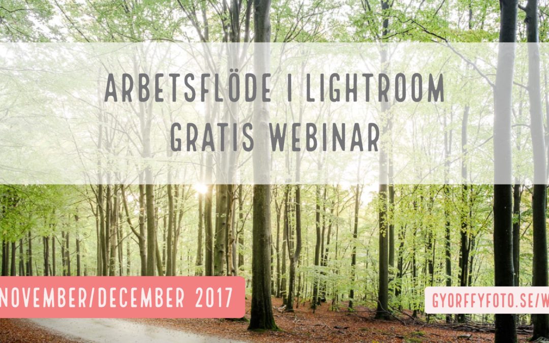 Webinar, Arbetsflöde i Lightroom, November/December 2017